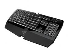 Razer Arctosa Gaming Keyboard Black Edition Image